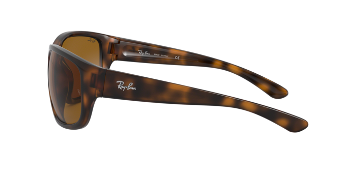 Ray-Ban RB4300 710/33  